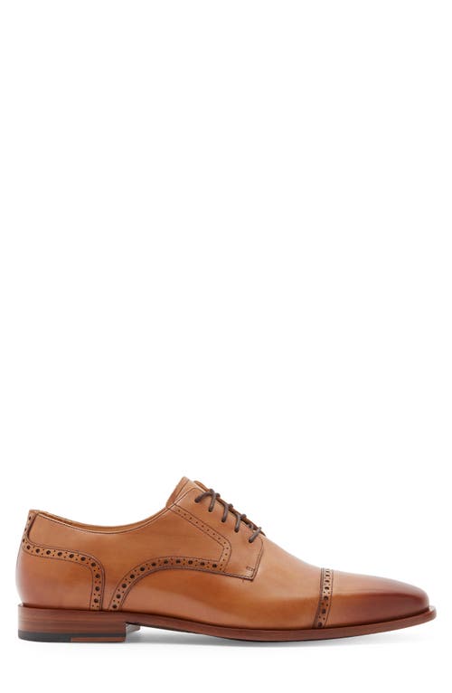 Curatore Spectre Brogue Derby In Brown