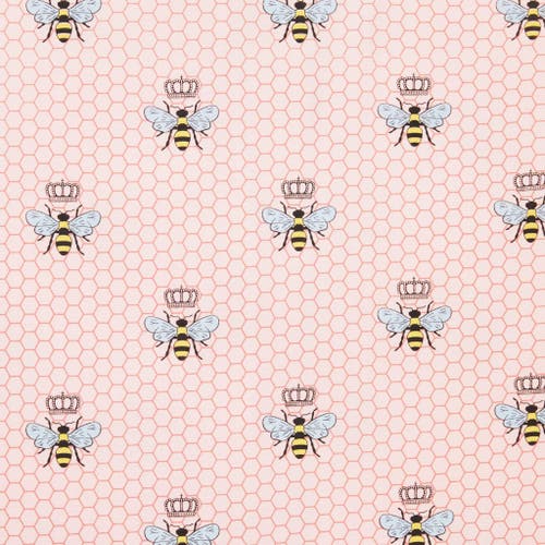 The Cat's Pajamas Pima Knit Pajama Print Set In Pink