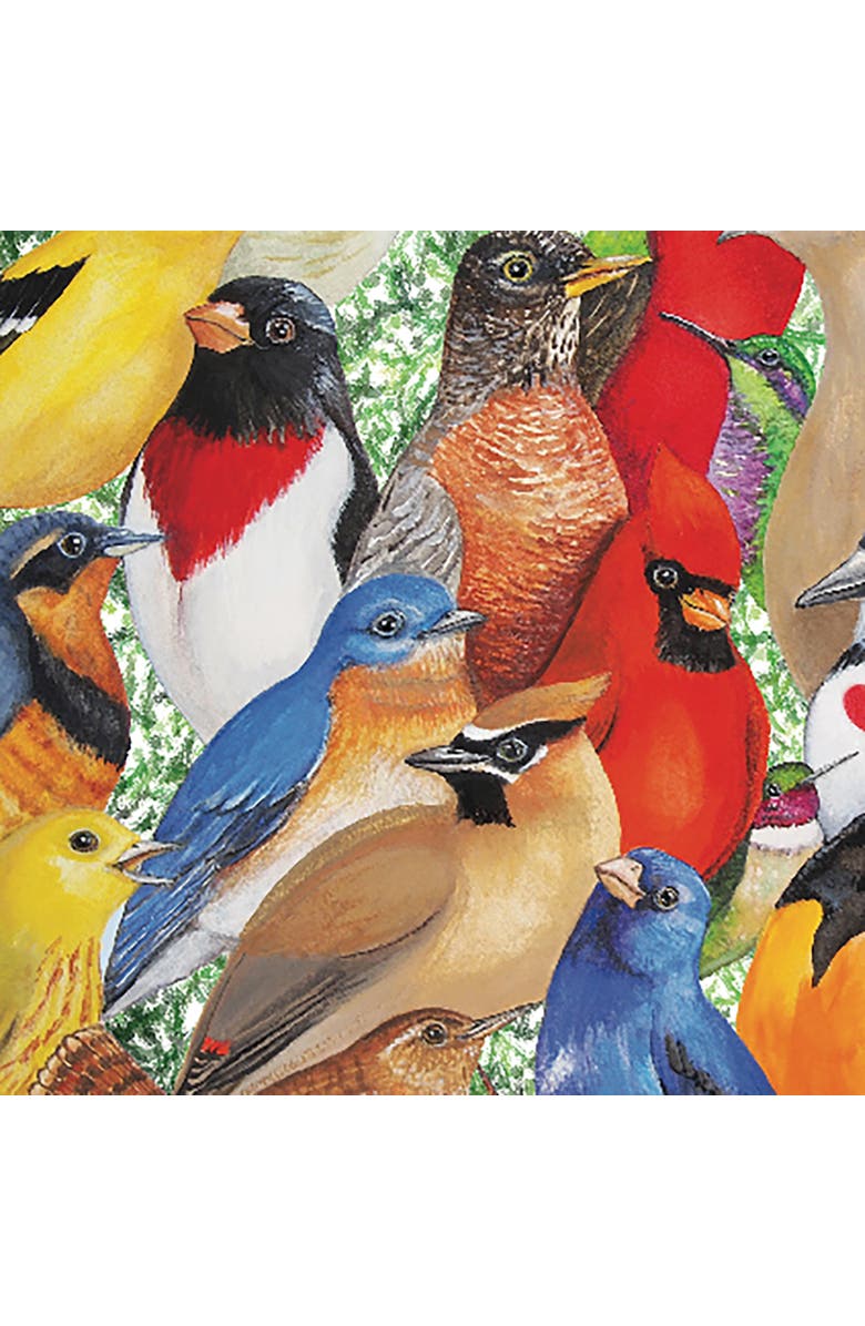 Hart Puzzles Birds, Birds, Birds by Wendy Russell 1000 Piece Puzzle, Alternate, color, Multicolored