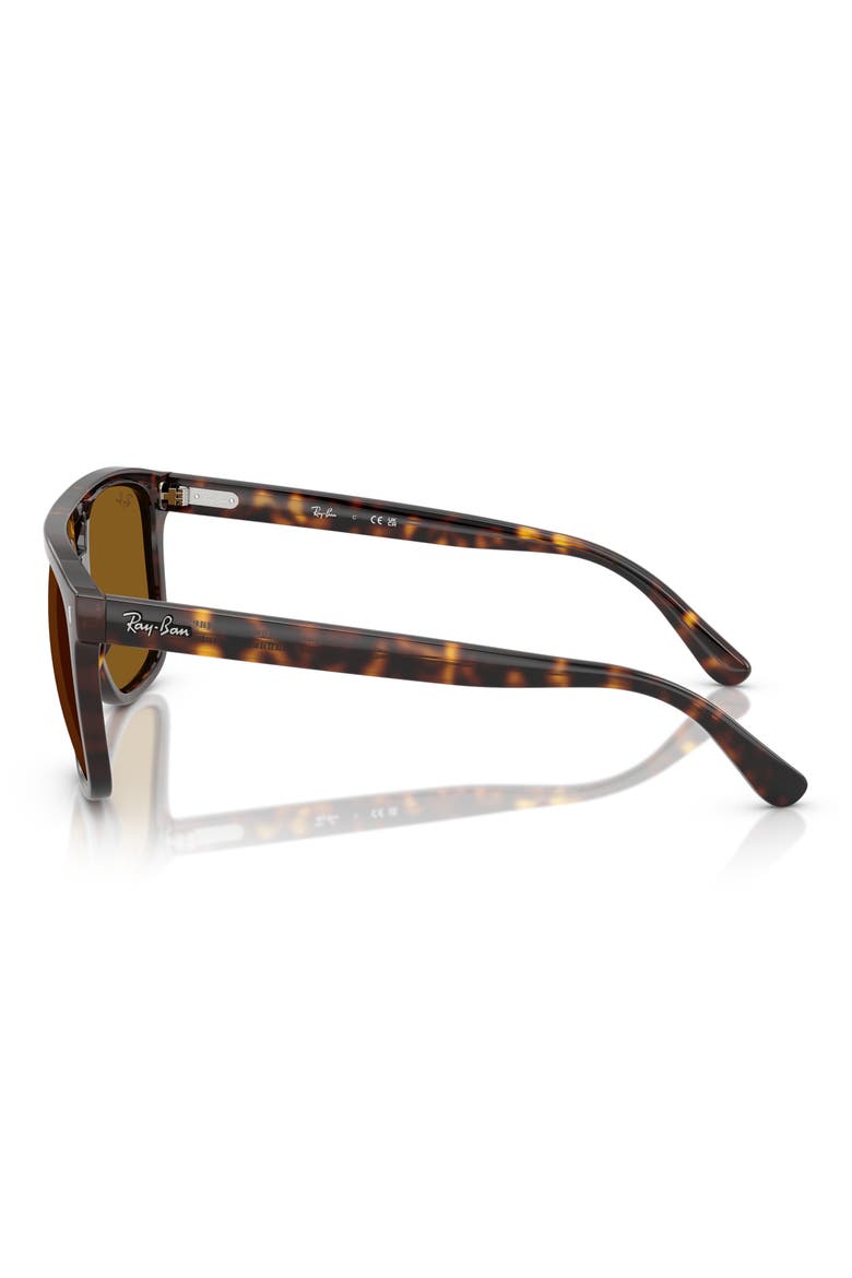 58mm Square Sunglasses, Alternate, color, HAVANA