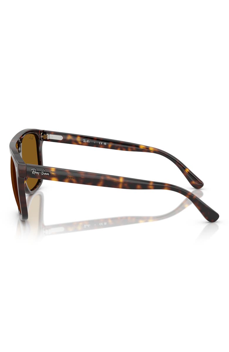 Ray-Ban 55mm Square Sunglasses, Alternate, color, Havana