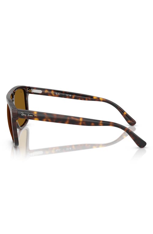 Ray Ban Rb2213 Sunglasses Havana Frame Brown Lenses 58-20 In Havana