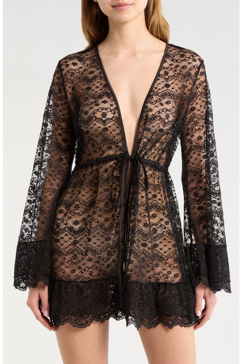 Embroidered Sheer Mesh Robe, Main, color, BLACK
