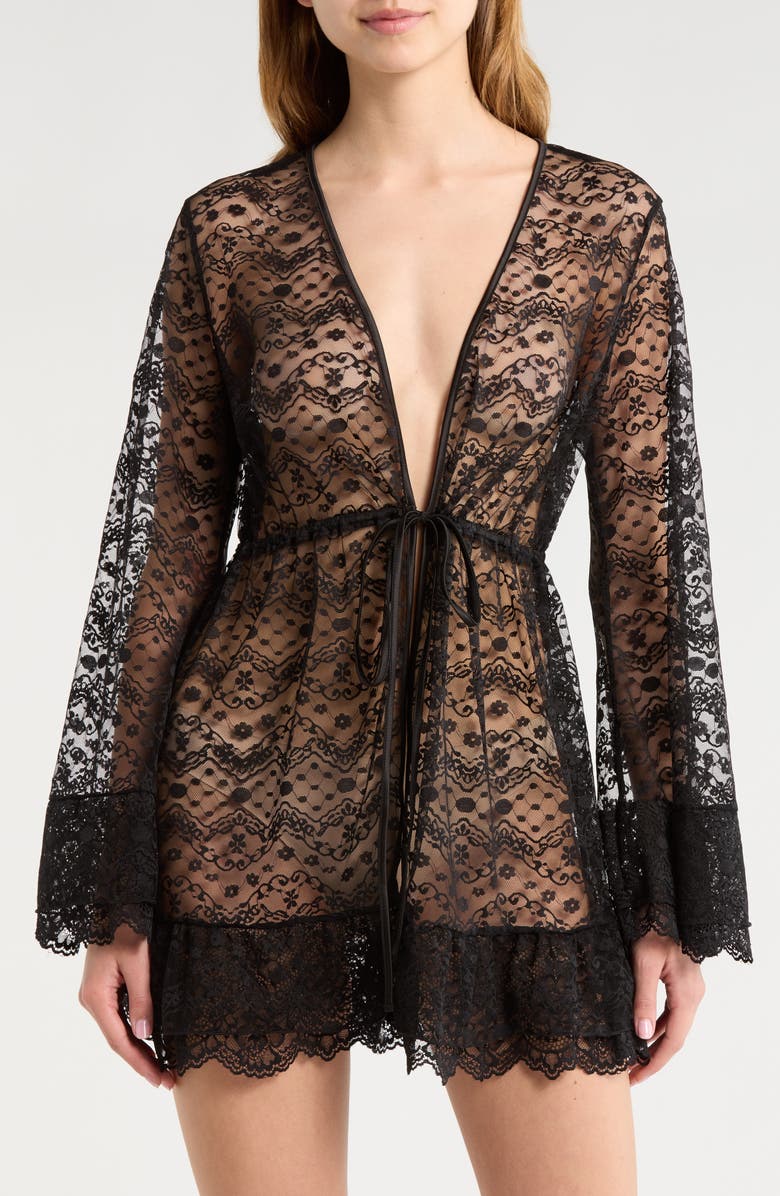 KILO BRAVA Embroidered Sheer Mesh Robe, Main, color, Black