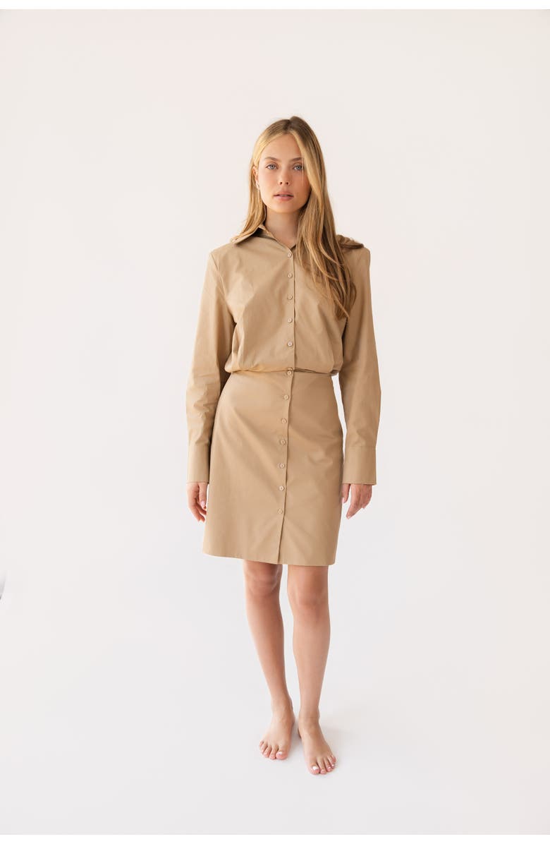 Shani x By Tess Shani Dress, Main, color, Tan