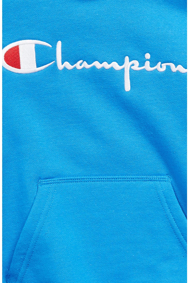 Kids' Embroidered Premium Fleece Hoodie, Alternate, color, BLUE JAY