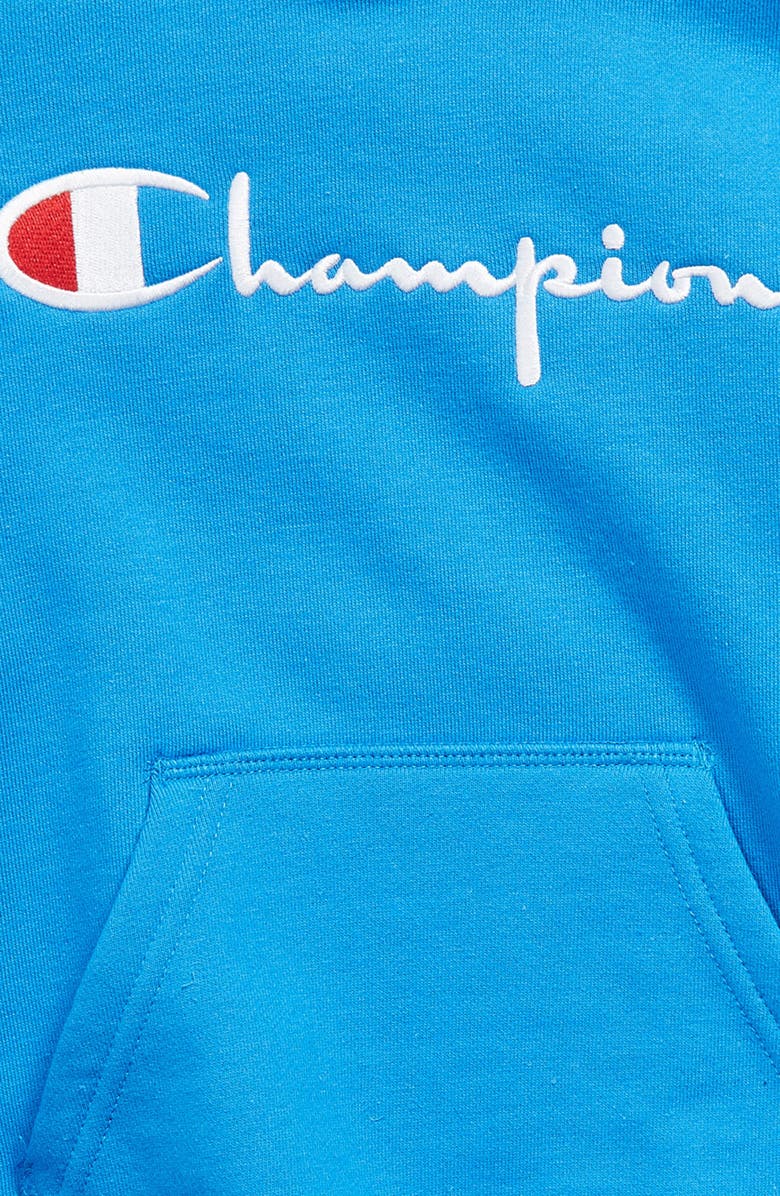 Champion Kids' Embroidered Premium Fleece Hoodie, Alternate, color, 