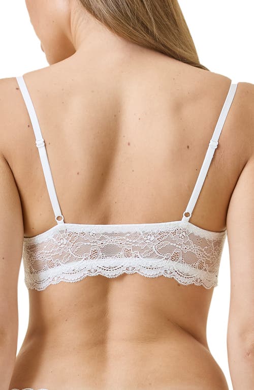 Papinelle Lace Bralette