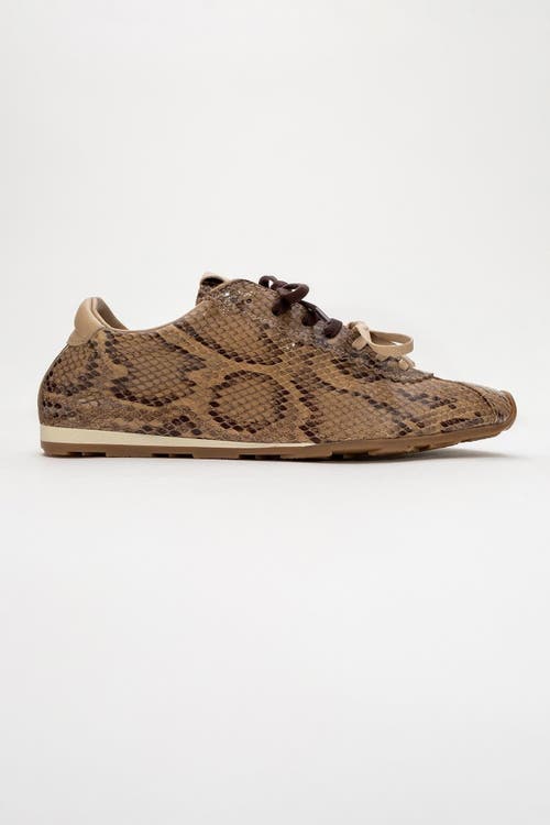 Forever & Always Shoes Crea Leather Sneakers In Open Brown Leather