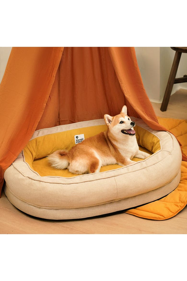 Donut Dog Bed, Alternate, color, Ginkgo Yellow