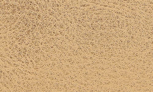 Longchamp Le Pliage Xtra Gold Leather Card Case In Gold