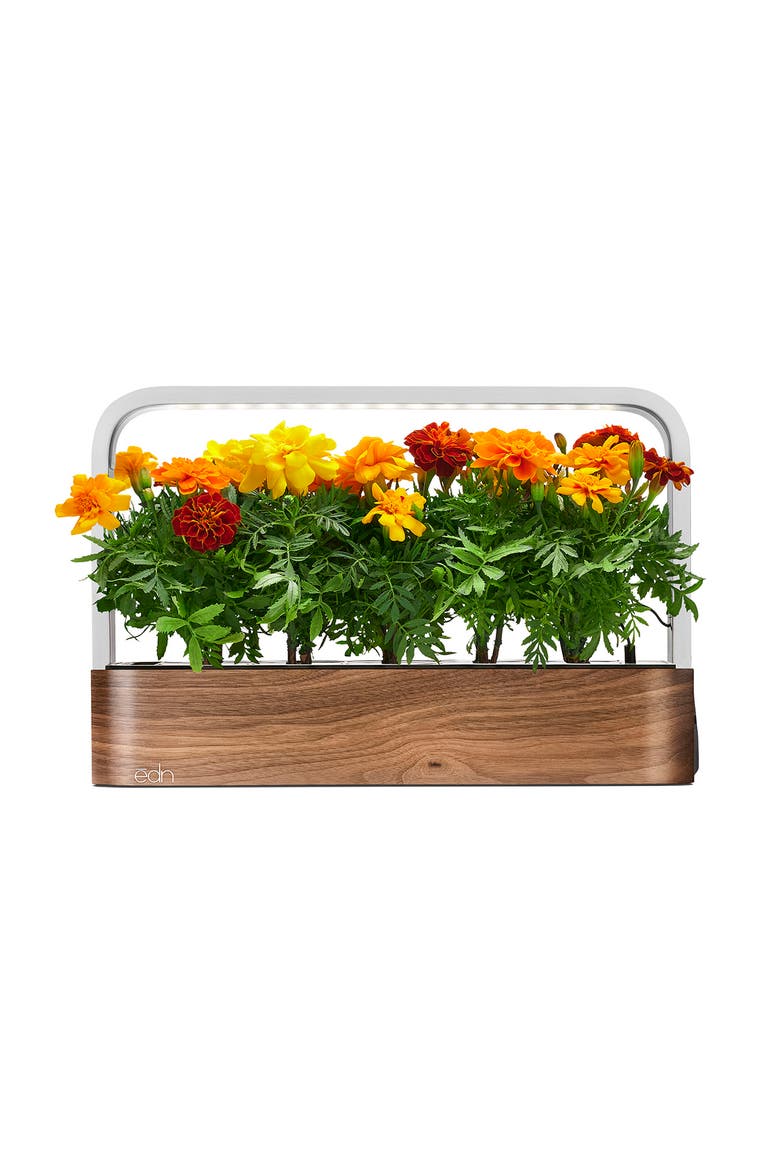SmallGarden Smart Garden, Alternate, color, WALNUT