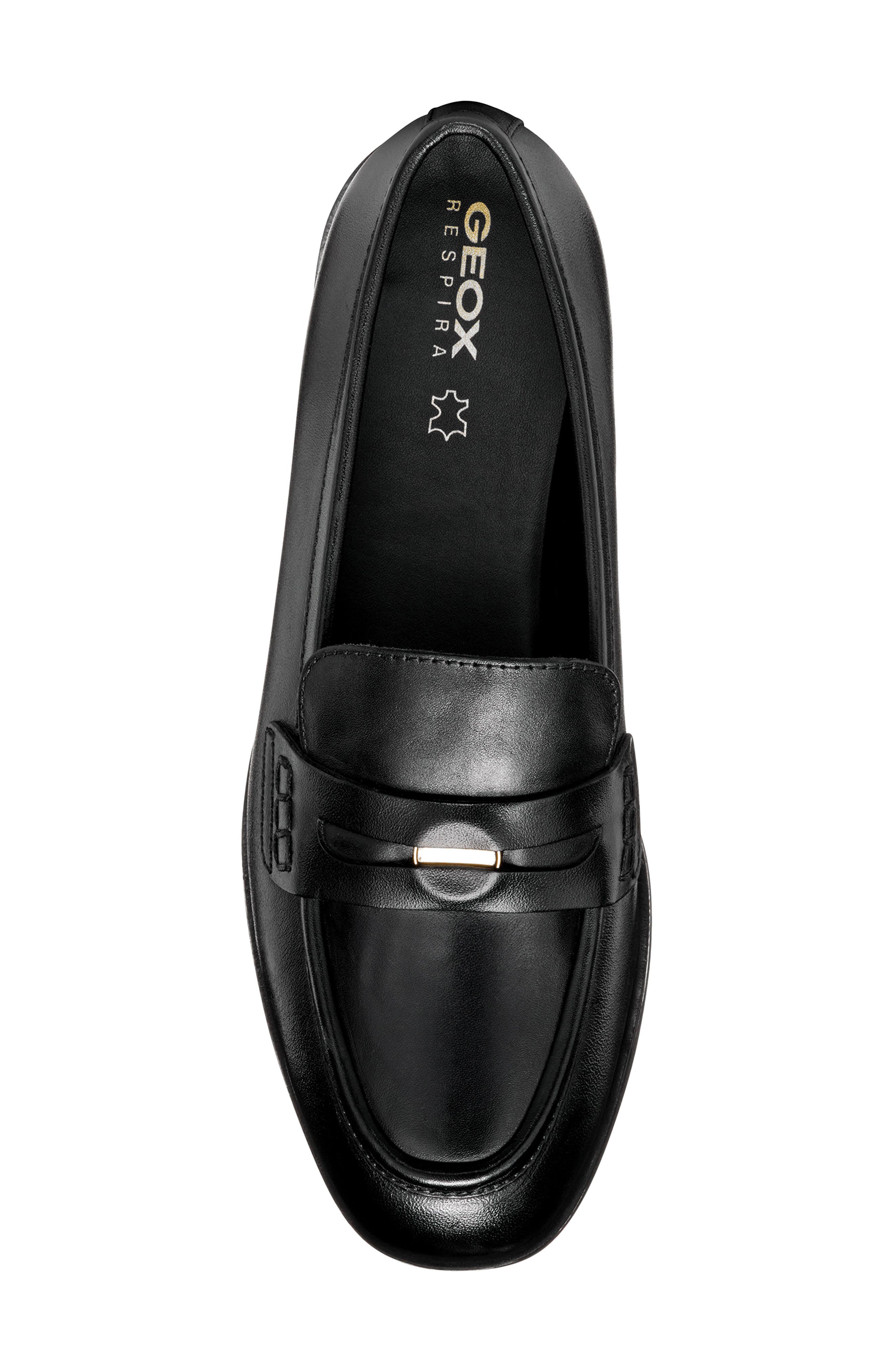 Geox Cloridie Penny Loafer, Alternate, color, 
