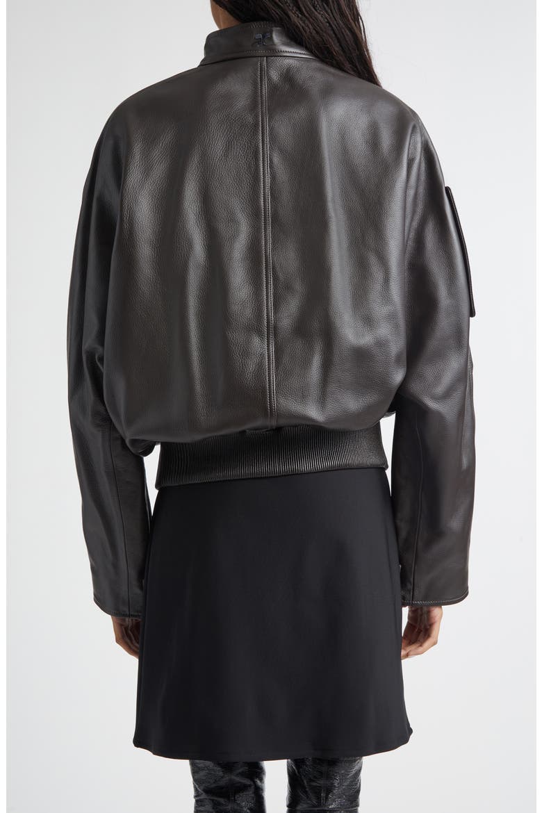 Embroidered Leather Bomber Jacket, Alternate, color, DARK BROWN