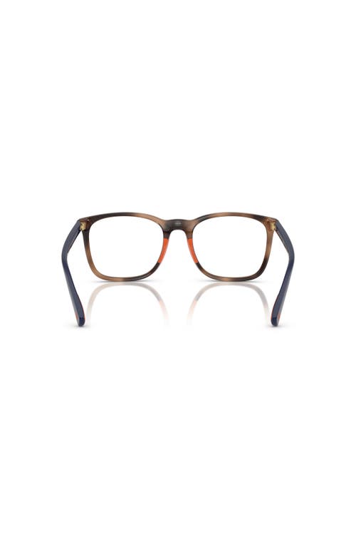Polo Ralph Lauren 52mm Rectangle Optical Glasses In Brown
