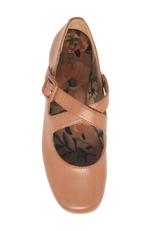 B O C By Børn Paris Mary Jane Flat In Brown