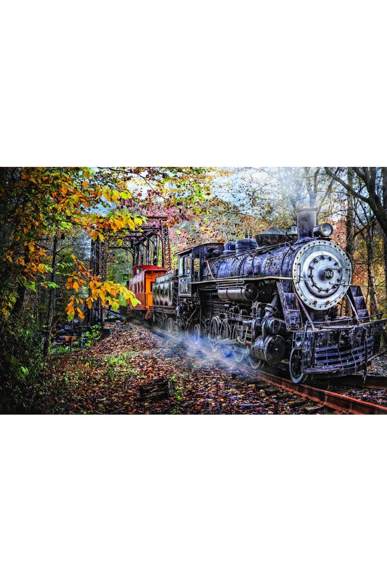Train's Coming 1000 piece Jigsaw Puzzle for Adults, Alternate, color, Multicolor