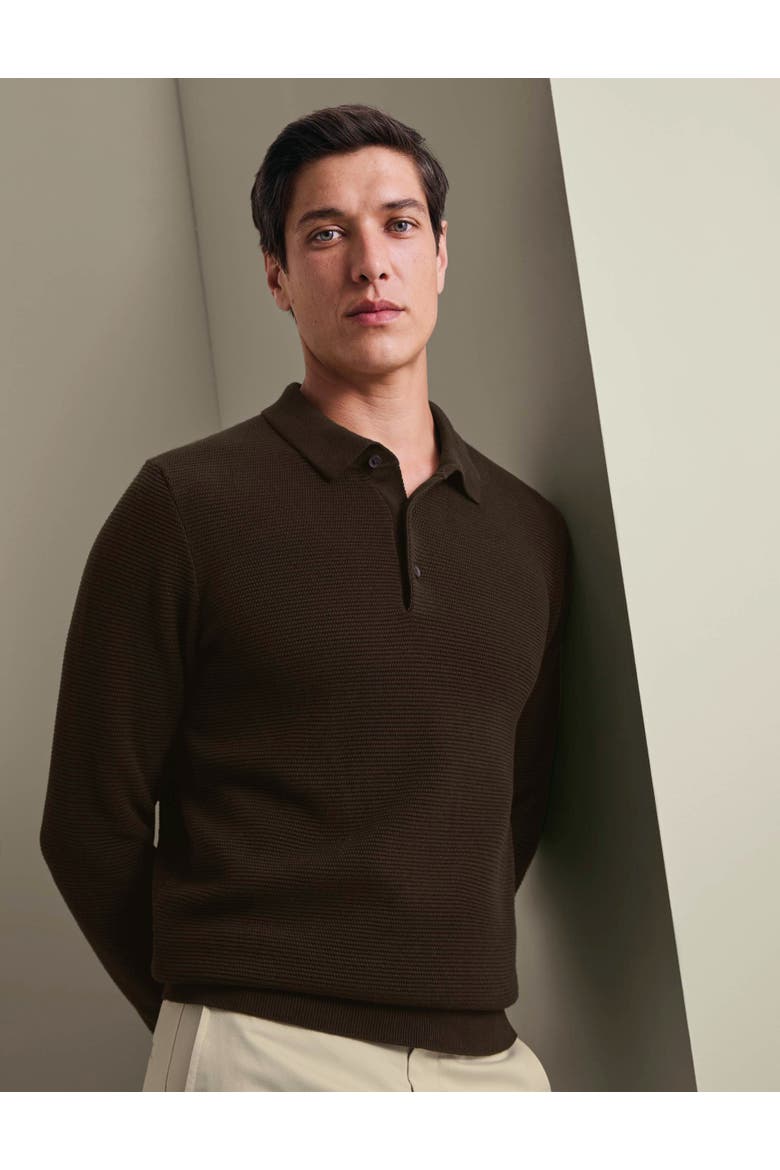 Knit Texture Long Sleeve Cotton Polo, Main, color, Chocolate Brown
