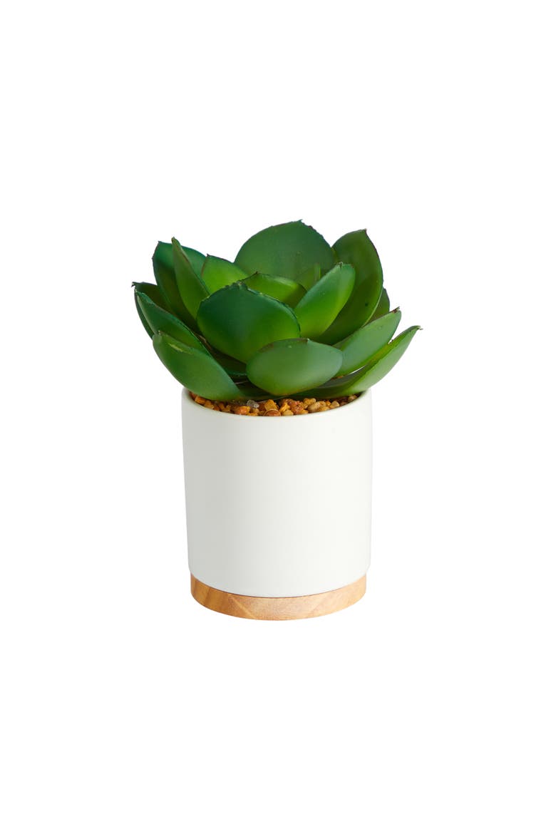 6-in Succulent Artificial Plant in White Ceramic Planter, Main, color, Green