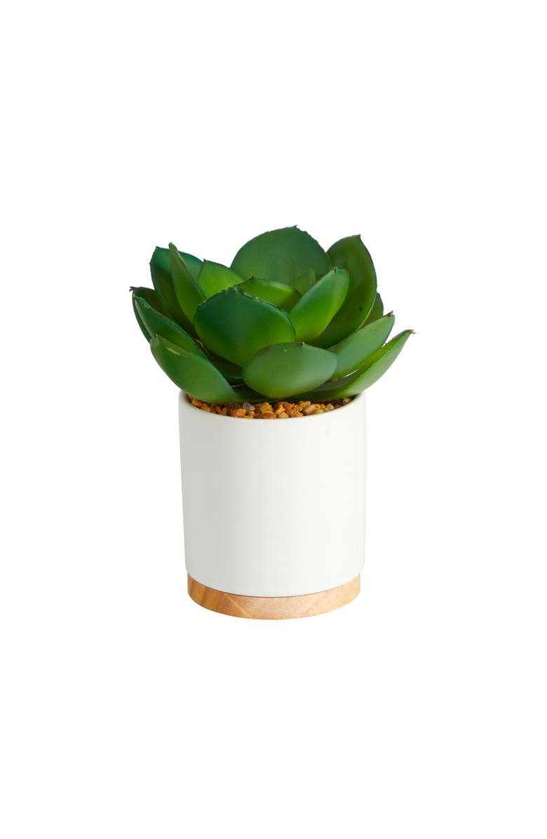 NEARLY NATURAL 6-in Succulent Artificial Plant in White Ceramic Planter, Main, color, Green