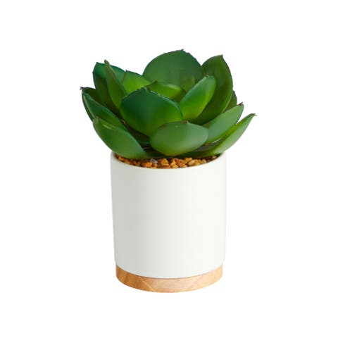 6-in Succulent Artificial Plant in White Ceramic Planter