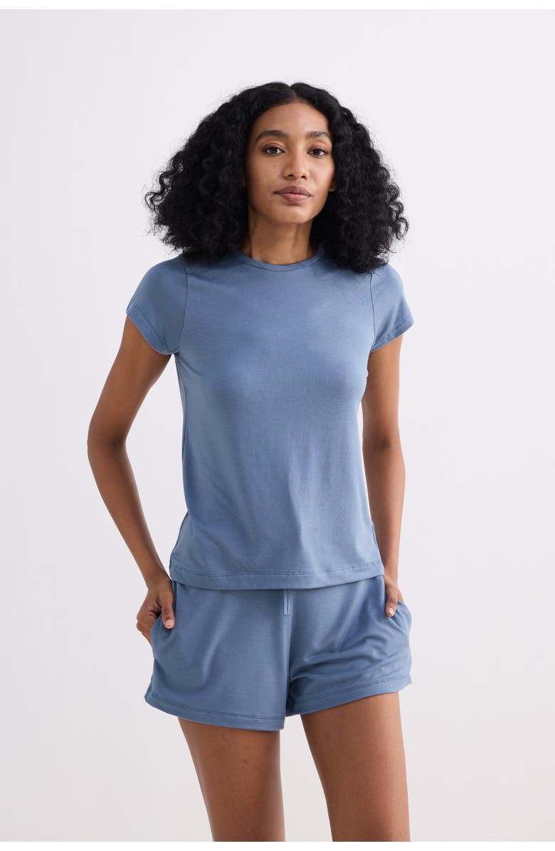 Reistor Regular Fit Essential Short Sleeve Tee Set, Alternate, color, Blue