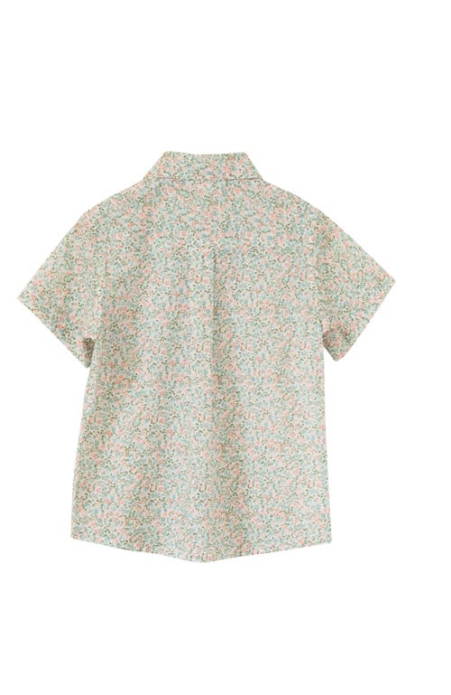 Beet World Boys Collar Shirt In Pastel Green And Peach