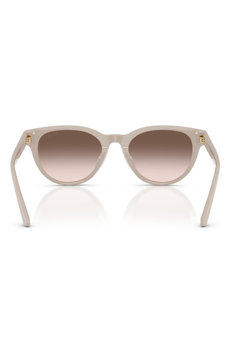 Jimmy Choo Trace 53mm Phantos Sunglasses, Alternate, color, Taupe / Pink Dark Grey