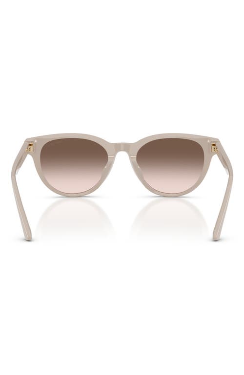 Jimmy Choo Trace 53mm Phantos Sunglasses In Multi