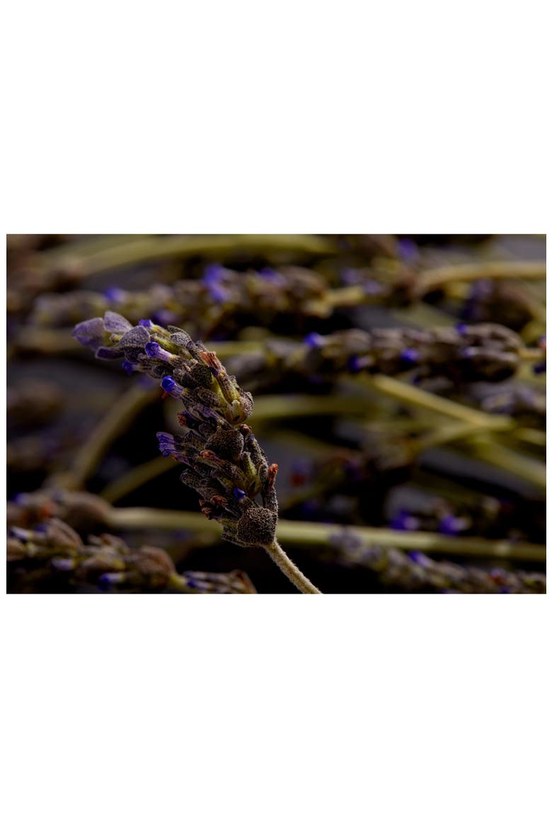 Next-Level Deodorant, Alternate, color, LAVENDER MYRRH