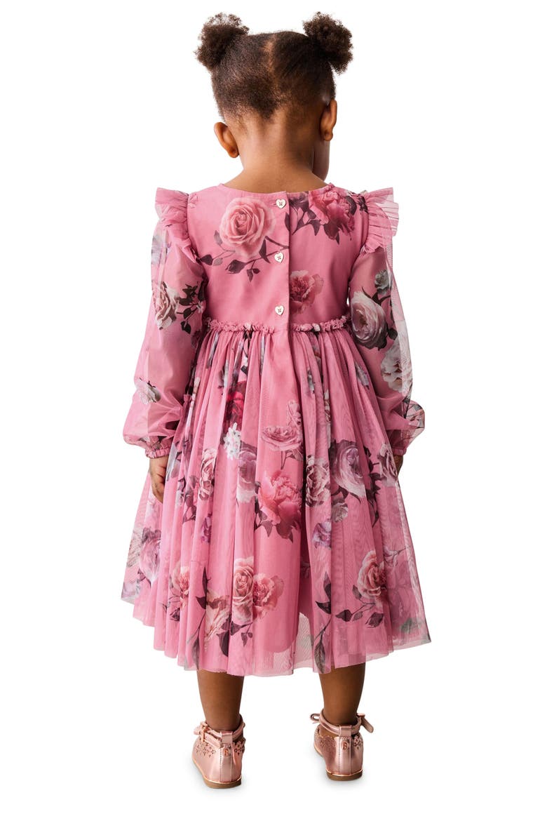 Kids' Valentina Floral Print Tulle Dress, Alternate, color, PINK