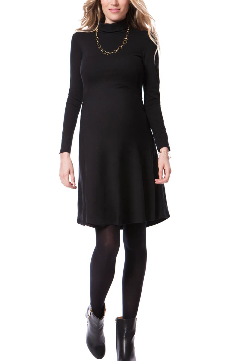 Seraphine Turtleneck Long Sleeve A-Line Maternity Dress, Main, color, 