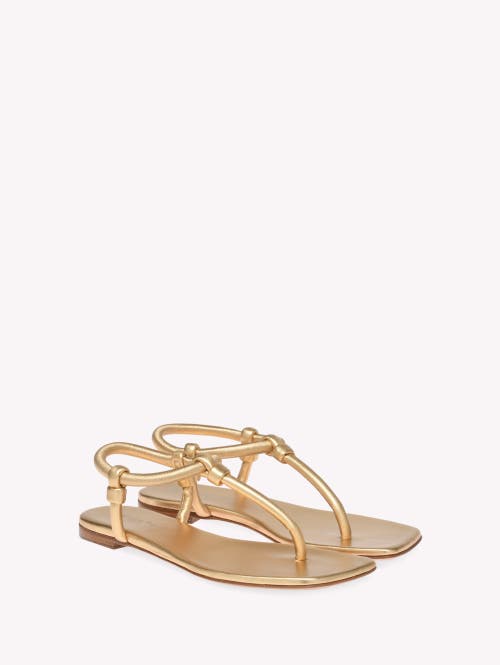 Gianvito Rossi Juno Thong Sandals In Gold