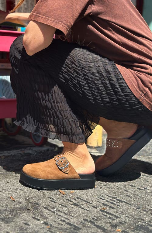 Seychelles Acclaim Clog In Brown