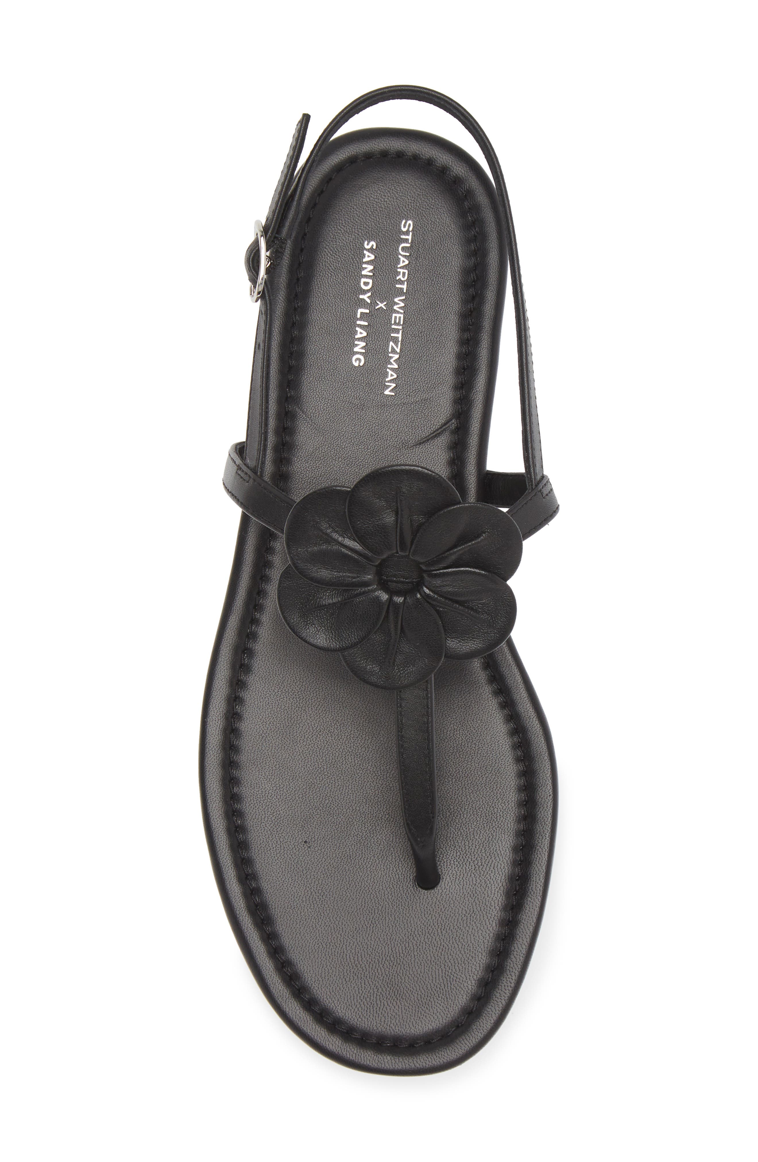 Stuart Weitzman x Sandy Liang T-Strap Slingback Sandal, Alternate, color, Black Smooth Calf
