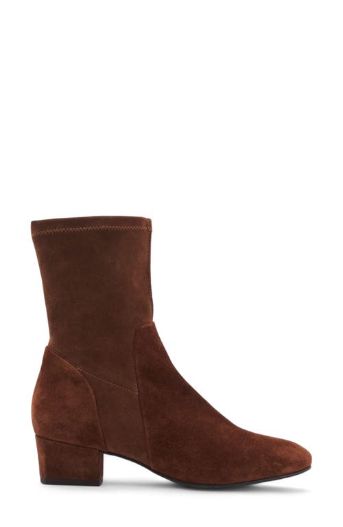 Aquatalia Stassi Water Repellent Bootie In Brown