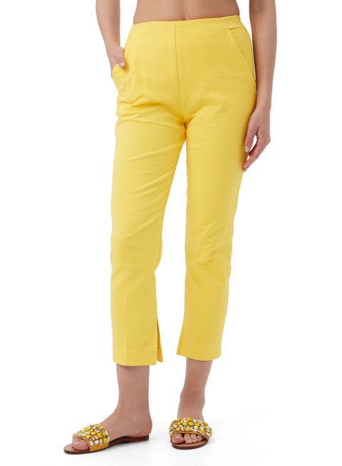 Textured Cotton Straight Leg Pop Pant
