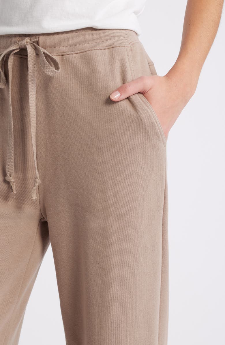 Nation LTD Rocco Drawstring Sweatpants, Alternate, color,