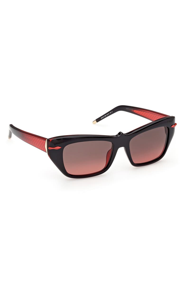 Christian Louboutin 52mm Cat Eye Sunglasses, Alternate, color, 
