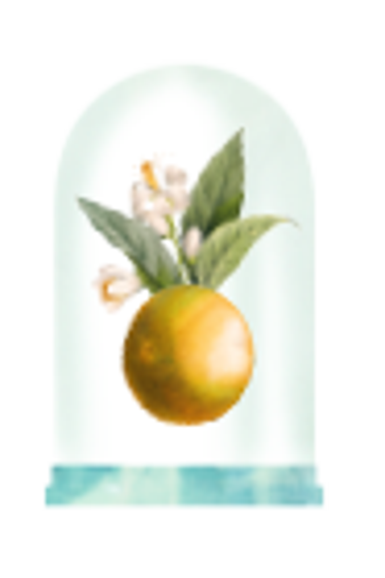 Figo Eau de Cologne, Alternate, color, Clear