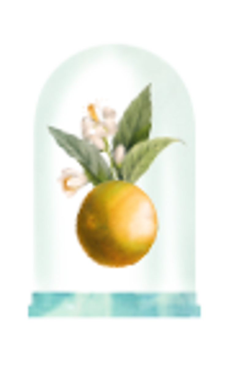 GRANADO Figo Eau de Cologne, Alternate, color, Clear
