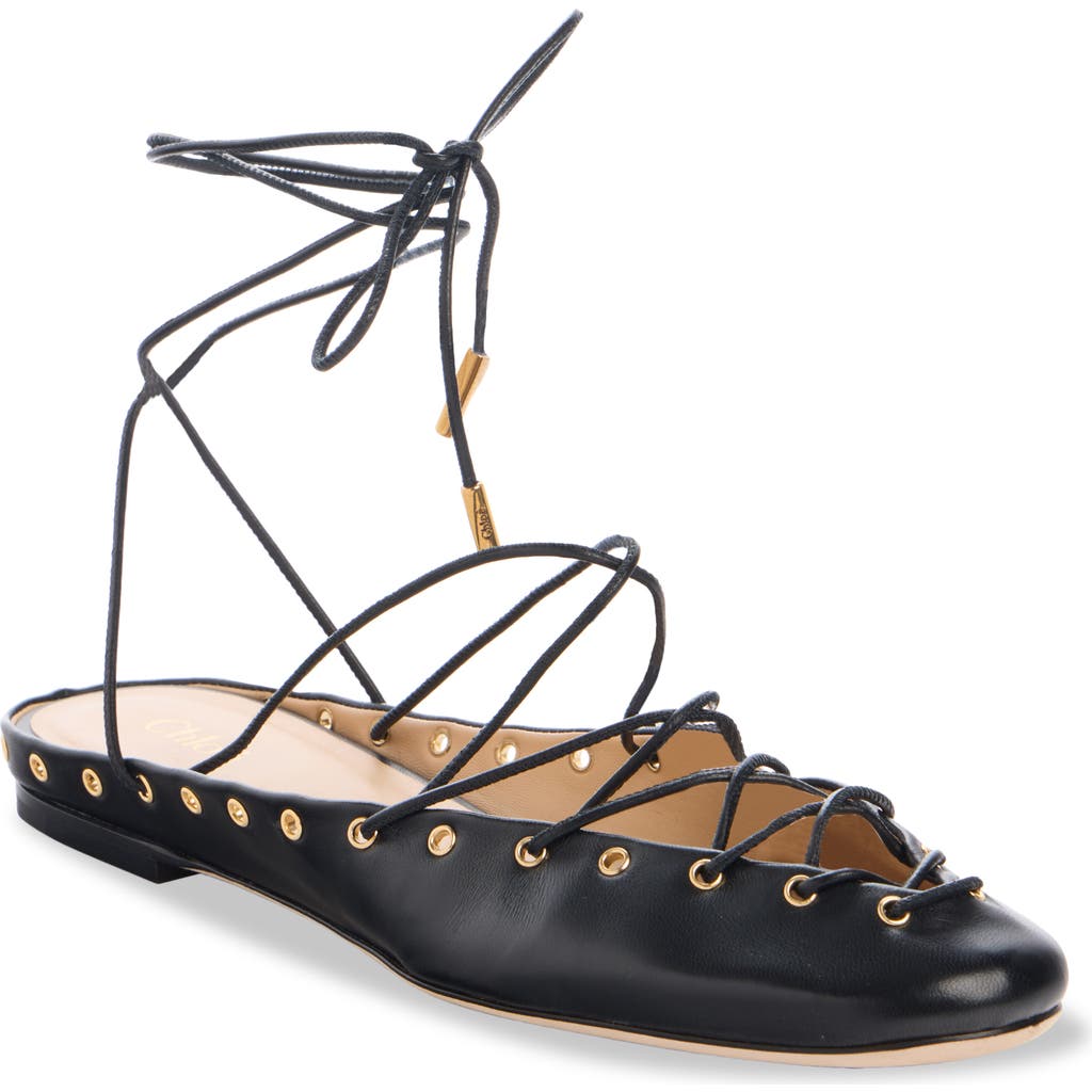 Chloé Ghillies Leather Ballerina Flat In Black