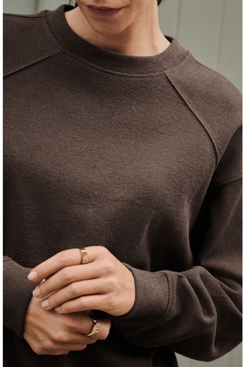 Crewneck Sweatshirt, Alternate, color, BROWN