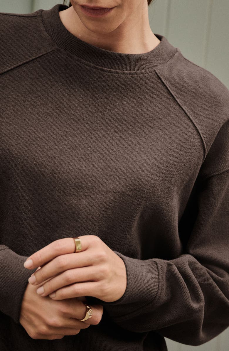 NEXT Crewneck Sweatshirt, Alternate, color, Brown