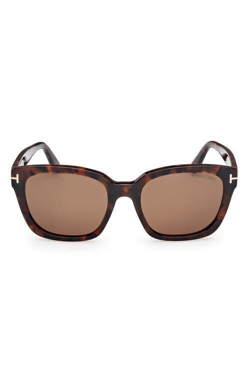 Tom Ford Haylay Acetate Rectangle Sunglasses In Shiny Dark Havana Eco