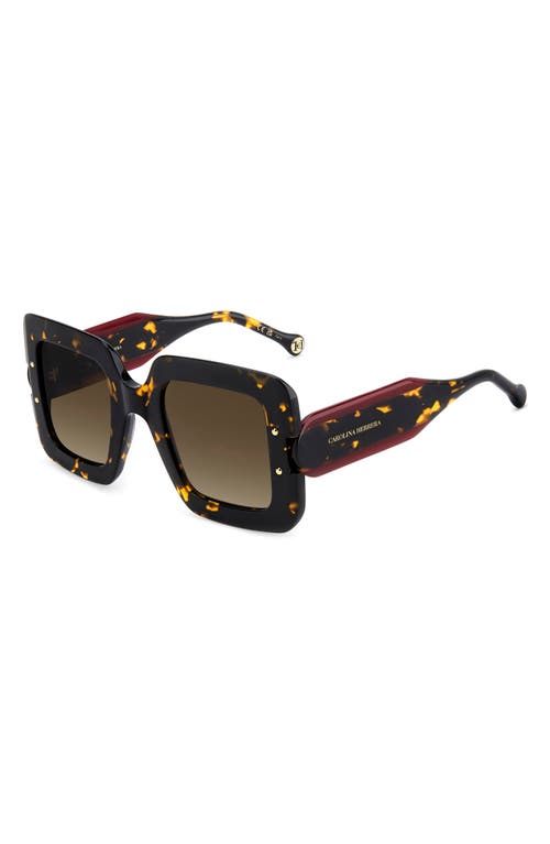 Carolina Herrera 50mm Square Sunglasses In Brown