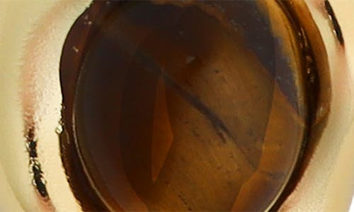 Panacea Tiger's Eye Stud Earrings In Gold