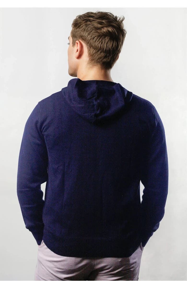 Ledger & Ford Navy Tomales Hoodie, Alternate, color, Navy