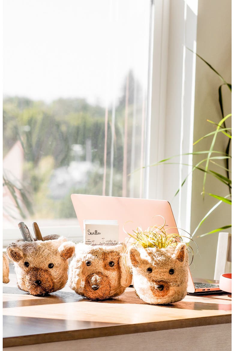 Mini Dog Succulent Planter, Alternate, color, WHITE / BROWN