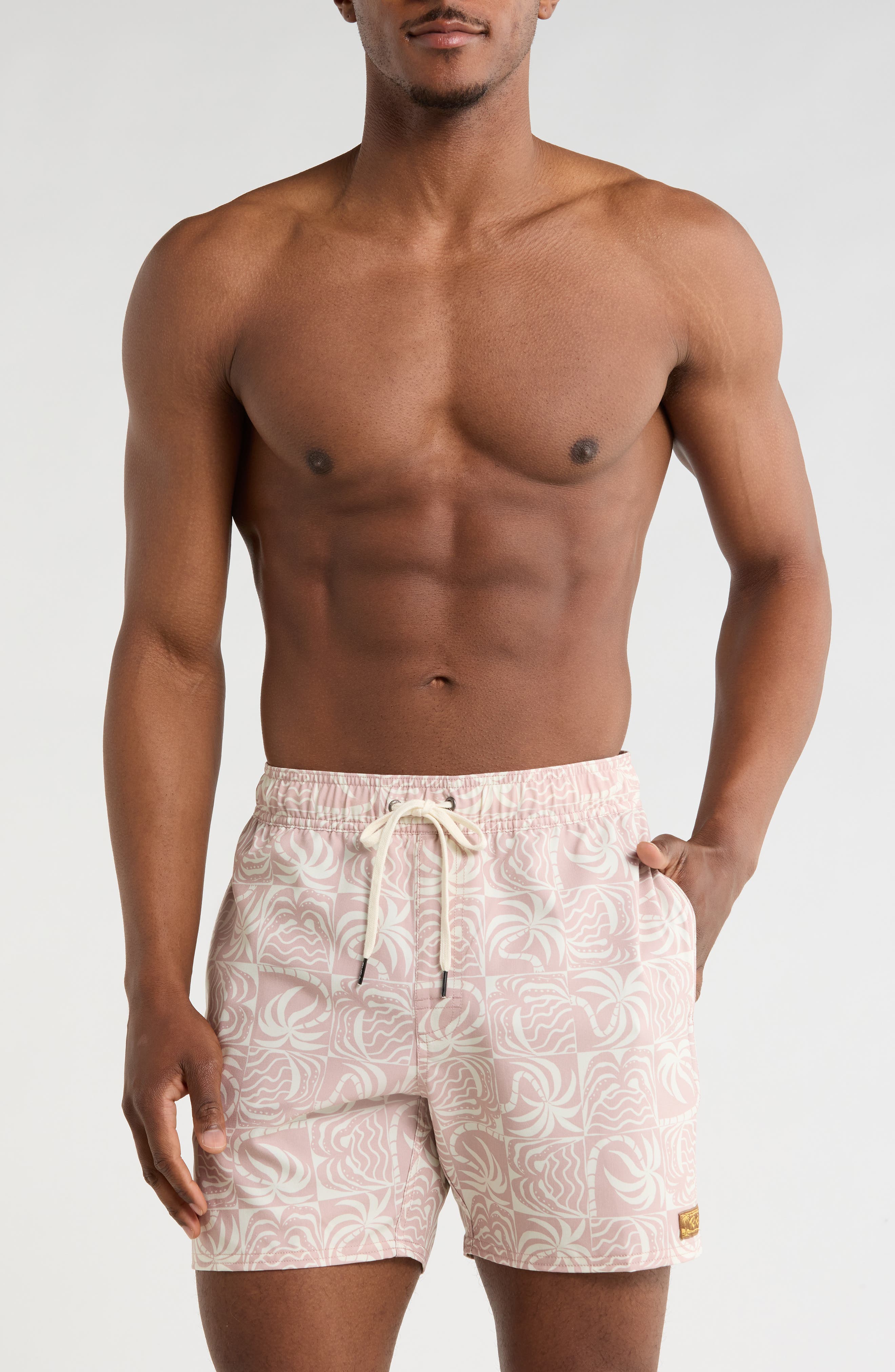 RVCA Exotica Swim Trunks
